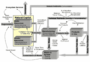 Systems Thinking Primer for Natural Capitalism: The Four Basic Shifts