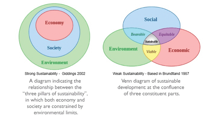  Strong vs Weak Sustainability